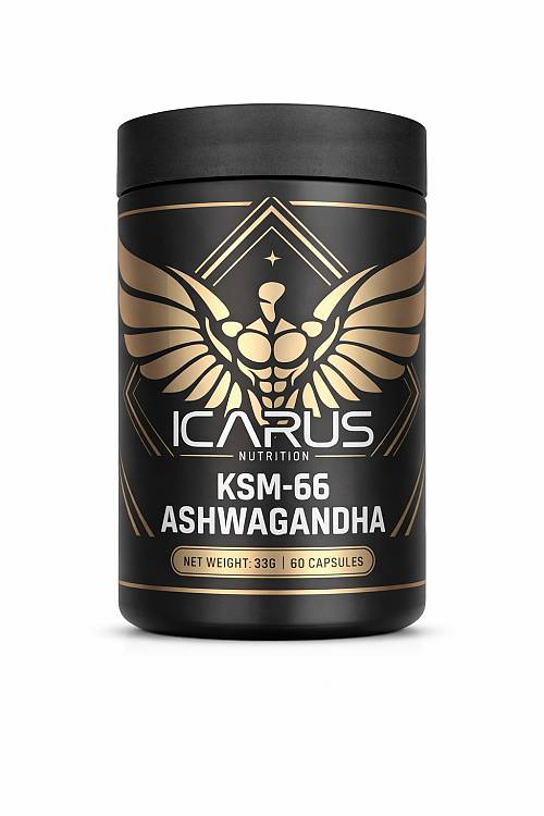 Icarus Nutrition KSM-66 Ashwagandha – 60 Capsules