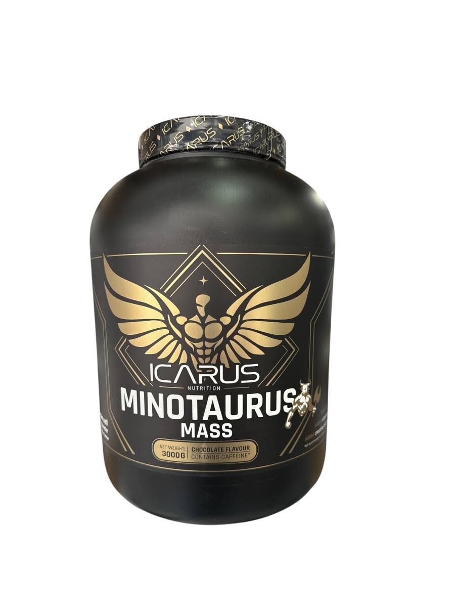 Icarus Nutrition Minotaurus Mass 3000g Chocolate